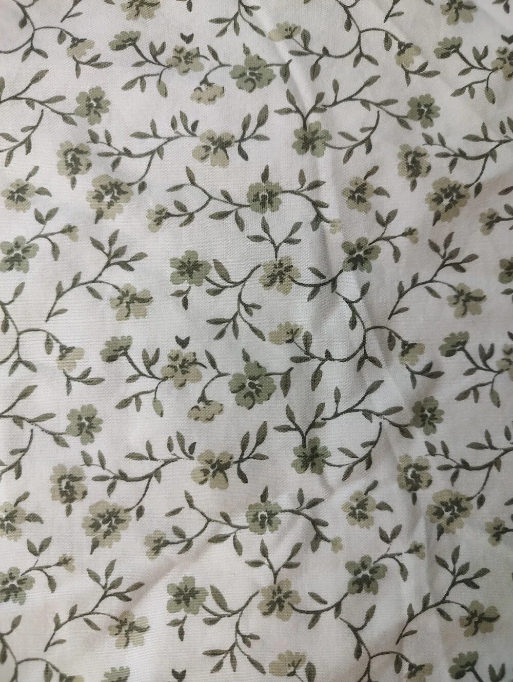 Quince Organic Cotton Duvet Cover in White Green Olive Percale King Cali